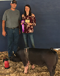 Baade Winners