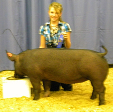 Baade Genetics