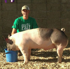 Baade Genetics