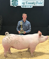 Baade Winners