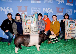 Winners